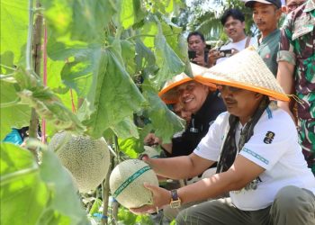 Bupati Anwar Sadat Menilai Sektor Hortikultura Memiliki Prospek yang Sangat Menjanjikan
