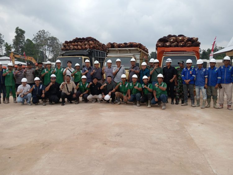 Uji Coba PMKS PT Berkat Sawit Mandiri, Ratusan Ton Sawit Mulai Masuk di Sungai Gedang