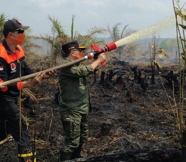 Turun Langsung Padamkan Karhutla di Air Merah, Gubernur Al Haris: Api Sudah 3 Hari, Gambut Sulit Dipadamkan