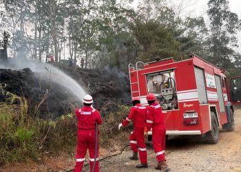 Pertamina EP Bantu Padamkan 5 Titik Kebakaran Lahan di Jambi
