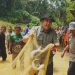 Bupati M. Syukur Didampingi Wabup Buka Lubuk Larangan Desa Telun