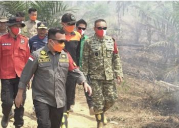 Gubernur Al Haris Pantau Karhutla Tahura di Batang Hari, 2 Waterbombing Disiapkan