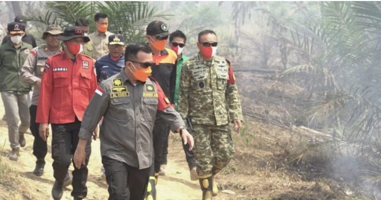 Gubernur Al Haris Pantau Karhutla Tahura di Batang Hari, 2 Waterbombing Disiapkan