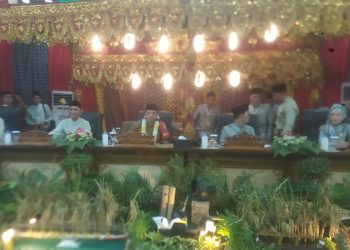 Hadiri HUT ke-27 Sarolangun, Gubernur Al Haris Apresiasi Pertumbuhan Ekonomi Daerah