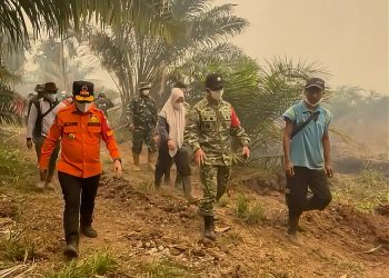 Gubernur Jambi dan Danrem Tinjau Karhutla di Kumpeh, Angin Kencang Hambat Pemadaman