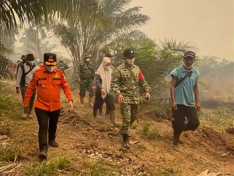 Gubernur Jambi dan Danrem Tinjau Karhutla di Kumpeh, Angin Kencang Hambat Pemadaman