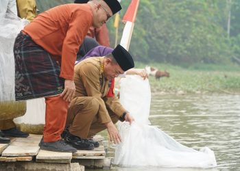 Gubernur Al Haris Tebar 25.000 Benih Ikan Nilem di Lubuk Larangan Danau Sibuk Bungo